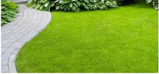 Landscaped gardens at L&T Malad, L&T Ahana Malad